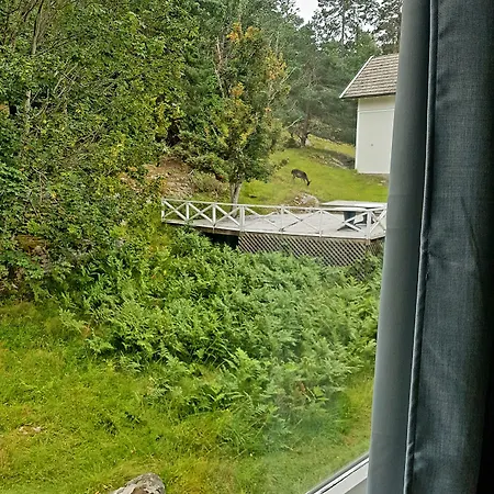 Hanko & Θέρετρο